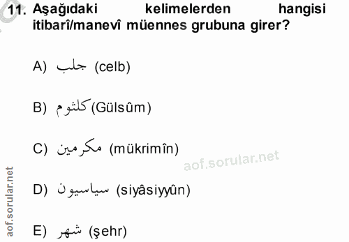 Soru 11