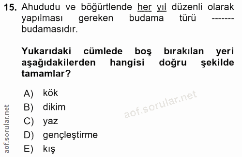 Soru 15