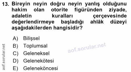 Soru 13