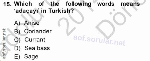 Soru 15