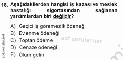 Soru 18