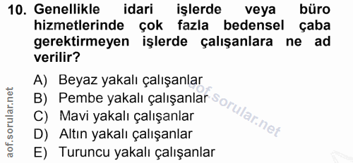 Soru 10