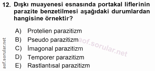Soru 12