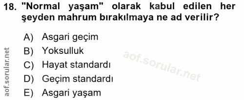 Soru 18