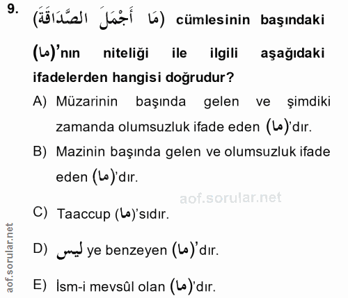 Soru 9
