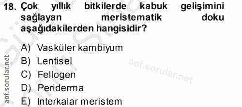 Soru 18