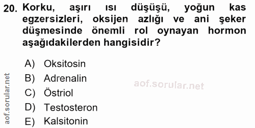 Soru 20