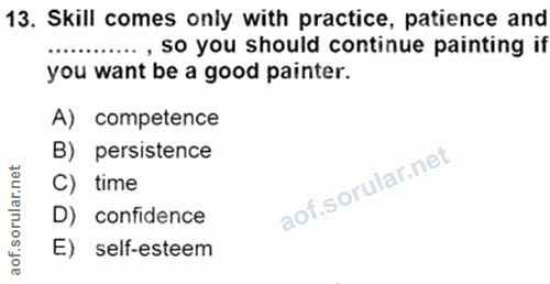 Soru 13