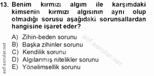 Soru 13