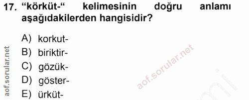 Soru 17