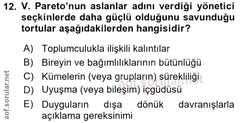 Soru 12