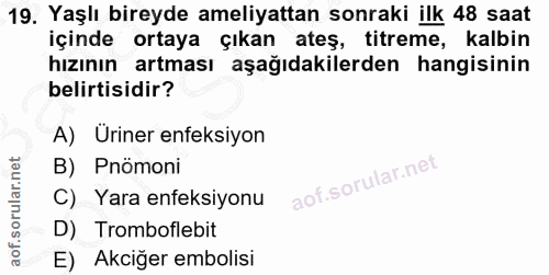 Soru 19