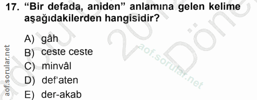 Soru 17
