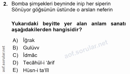 Soru 2