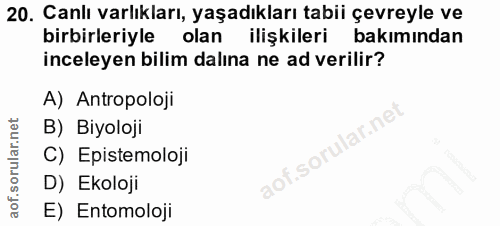 Soru 20