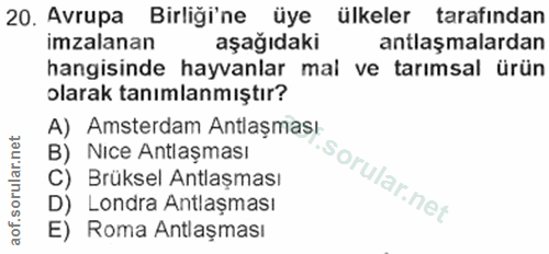 Soru 20