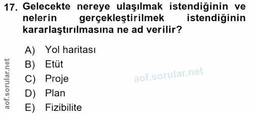 Soru 17