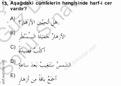 Soru 13