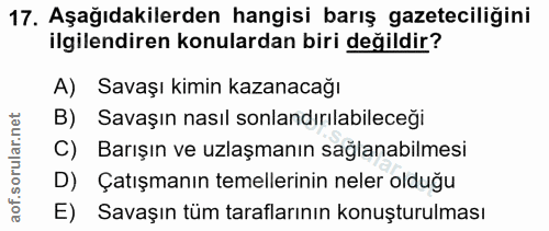 Soru 17