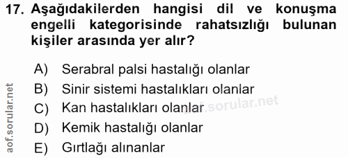 Soru 17