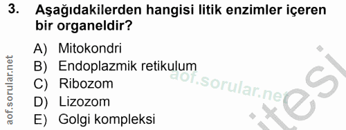 Soru 3