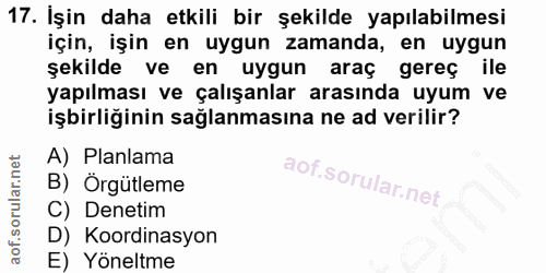 Soru 17