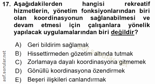 Soru 17