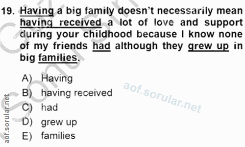 Soru 19