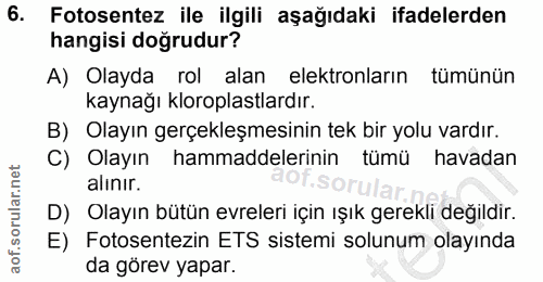 Soru 6