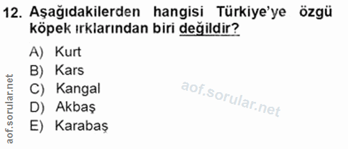 Soru 12