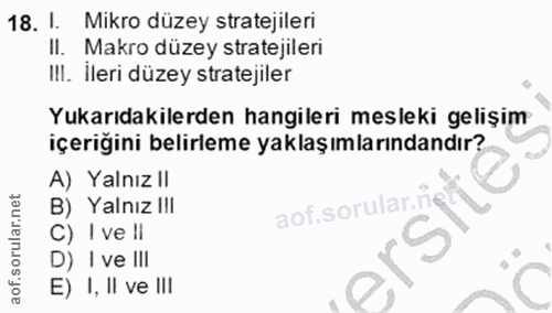Soru 18