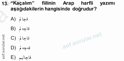 Soru 13