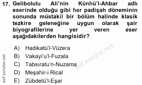 Soru 17