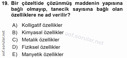 Soru 19