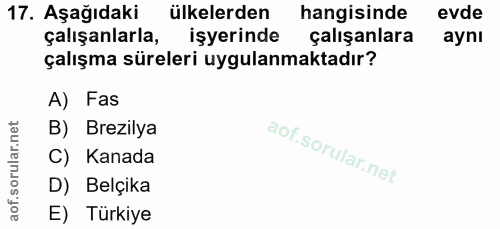 Soru 17