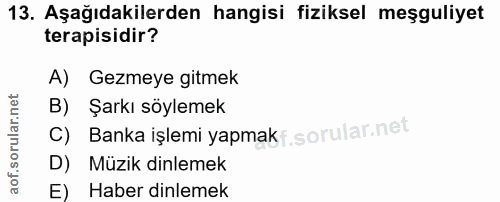 Soru 13