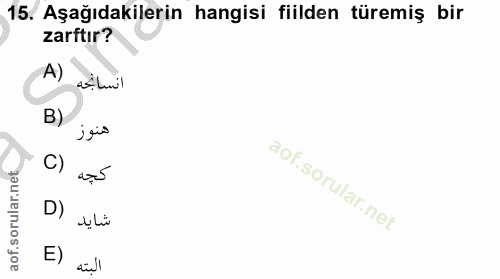 Soru 15