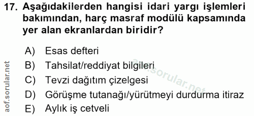 Soru 17