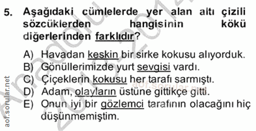 Soru 5