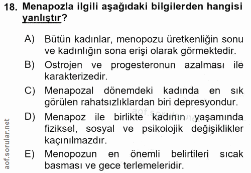 Soru 18