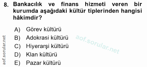 Soru 8