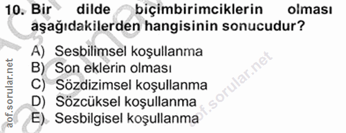 Soru 10
