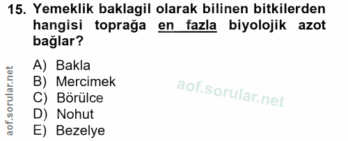 Soru 15