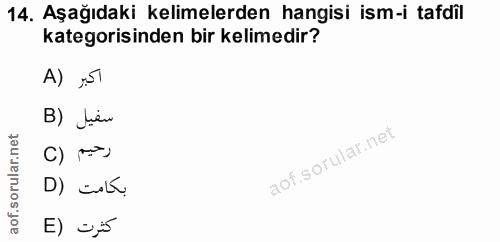 Soru 14