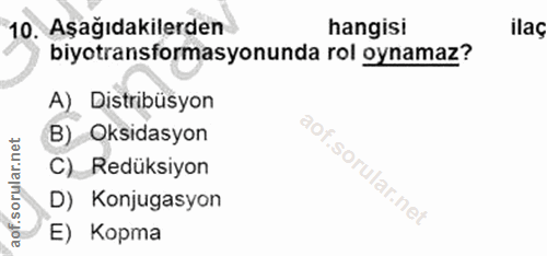 Soru 10