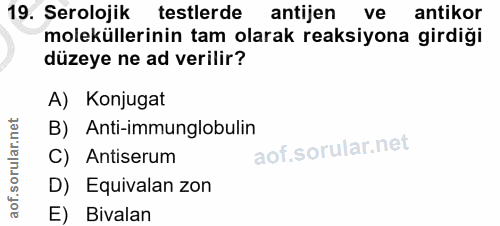 Soru 19