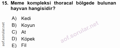 Soru 15