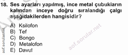 Soru 18