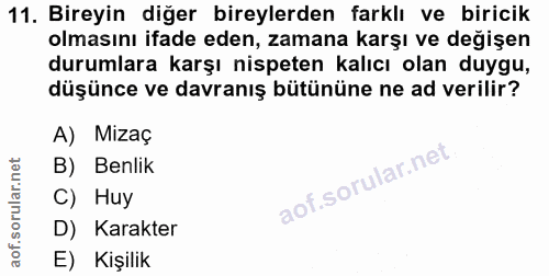 Soru 11