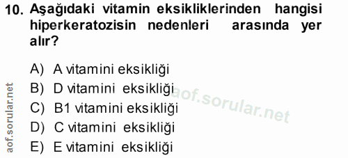 Soru 10